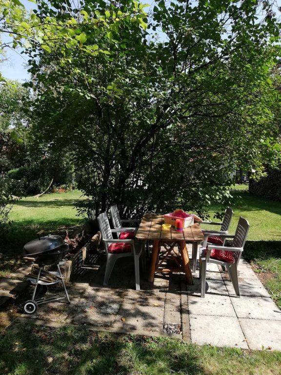 Ferienwohnung Christiane - Neue, Moderne Ferienwohnung Mit Blick Ins Gruene Ober-Abtsteinach Zewnętrze zdjęcie